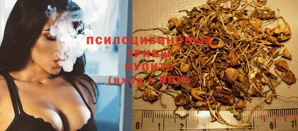 альфа пвп Козловка