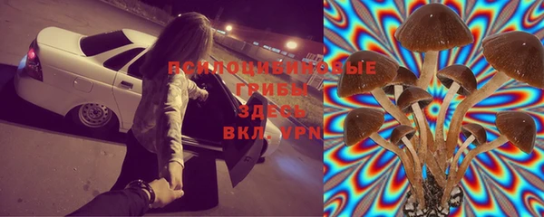 марки lsd Кодинск