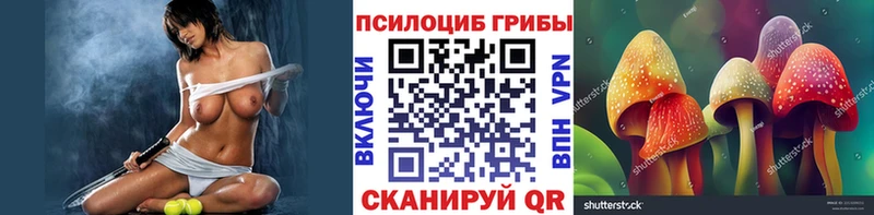 Галлюциногенные грибы Cubensis  Купить закладки  Пролетарск 